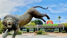 Zoológico de San Diego lanza “Kids Free” (+Detalles)