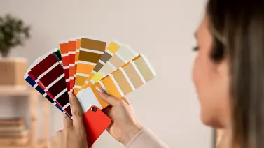 Conoce la mejor colorimetría para el hogar Conoce la mejor colorimetría para el hogar