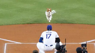 Shohei Ohtani sorprendió al llevar a su perrito a hacer el primer lanzamiento (+VIDEO) Shohei Ohtani sorprendió al llevar a su perrito a hacer el primer lanzamiento (+VIDEO)