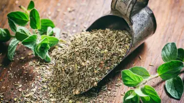 Beneficios del orégano para aliviar el dolor en las articulaciones  Beneficios del orégano para aliviar el dolor en las articulaciones