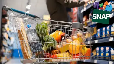 ¿Cuáles son los nuevos montos SNAP con el aumento del COLA? ¿Cuáles son los nuevos montos SNAP con el aumento del COLA?