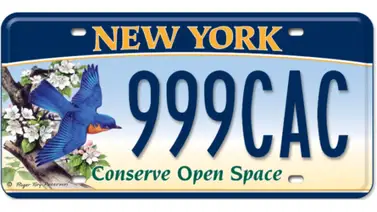 placa personalizada Nueva York placa personalizada Nueva York