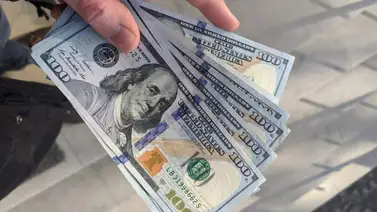 Florida | Ofertan empleo con paga de hasta $800 a la semana (+Requisitos) Florida | Ofertan empleo con paga de hasta $800 a la semana (+Requisitos)