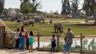 EEUU | Sepa cómo visitar más de 10 atracciones gratis en California EEUU | Sepa cómo visitar más de 10 atracciones gratis en California