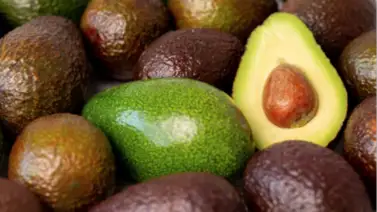 La forma de almacenar los aguacates al natural: evitarás que se pongan marrones muy rápido luego de comprarlos La forma de almacenar los aguacates al natural: evitarás que se pongan marrones muy rápido luego de comprarlos