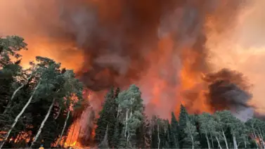 Declaran estado de emergencia en Utah por aumento de incendios forestales: 114,000 acres destruidos Declaran estado de emergencia en Utah por aumento de incendios forestales: 114,000 acres destruidos