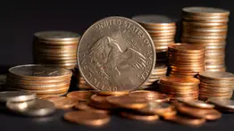 Numismática EEUU moneda "mula"