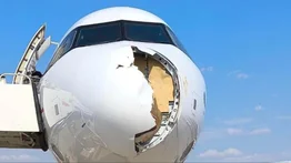Avión aterriza de emergencia tas impacto contra un pájaro de gran tamaño: la aeronave sufrió daños considerables
