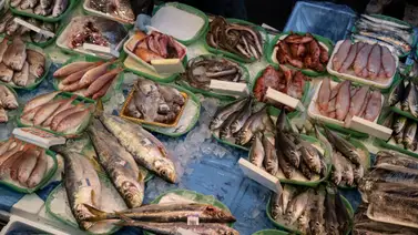 ¡Cae un mito! La verdad sobre lo saludables que son todos los pescados: un alimento marino que debes valorar con cautela ¡Cae un mito! La verdad sobre lo saludables que son todos los pescados: un alimento marino que debes valorar con cautela