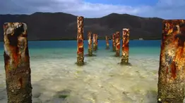 ¿No sabe a dónde ir en estas vacaciones?:  estos son los planes full day para La Ciénaga Ocumare de la Costa