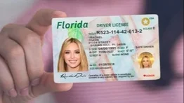 ¡Florida aumenta la seguridad! Estos son los íconos en la licencia de conducir que la hacen difícil de falsificar