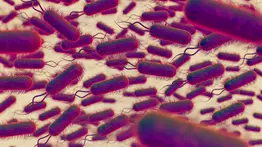 Alerta FDA salmonella nueces