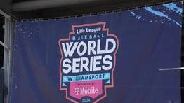 ¡Es oficial! Equipo venezolano de Pequeñas Ligas jugará en la Serie Mundial en Estados Unidos