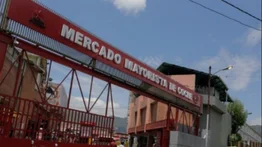 Mercado de Coche: autoridades prevén habilitar un espacio para la venta directa de "los gochitos"
