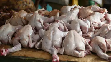 Precios del pollo al mayor y detal en Catia: montos al 8 de agosto Precios del pollo al mayor y detal en Catia: montos al 8 de agosto