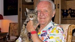Esta decisión de Anthony Hopkins cambió su vida en la Navidad de 1975: desde entonces su corazón y su sueño son muy saludables