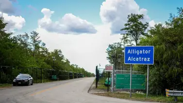 ¡Control penitenciario! ICE firma acuerdo sobre el trato a los inmigrantes en Alligator Alcatraz: esto es lo que se sabe ¡Control penitenciario! ICE firma acuerdo sobre el trato a los inmigrantes en Alligator Alcatraz: esto es lo que se sabe