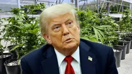 2001online - USA - Trump