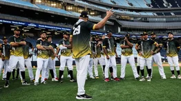 LVBP: Leones del Caracas anuncia a su nuevo gerente general