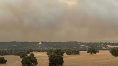 Alerta en Madrid: las impactantes imágenes del incendio que amenaza viviendas en Tres Cantos Alerta en Madrid: las impactantes imágenes del incendio que amenaza viviendas en Tres Cantos