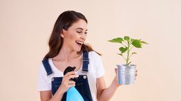 Ahorra mucho dinero en fertilizantes o abonos químicos en casa: solo agrega vinagre a las cáscaras de esta popular fruta y crecerán tus plantas