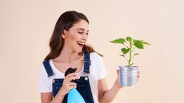 Ahorra mucho dinero en fertilizantes o abonos químicos en casa: solo agrega vinagre a las cáscaras de esta popular fruta y crecerán tus plantas