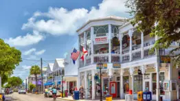 Ni agua ni comida: Florida multará con hasta $500 a quienes alimenten a estos animales callejeros