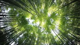 2001online - Venezuela- Denuncia