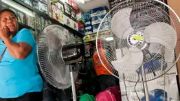 2001online - Caracas- ventiladores