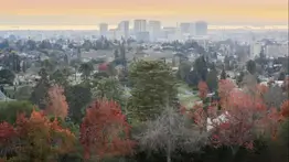 Cheques de $18,000 para familias de California: pagos de un programa piloto comienzan esta semana