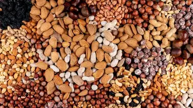 ¡El dato increíble para tu salud! Estas son las semillas que tienen más proteínas que la carne: revisa la lista y sal ya a comprarlas ¡El dato increíble para tu salud! Estas son las semillas que tienen más proteínas que la carne: revisa la lista y sal ya a comprarlas