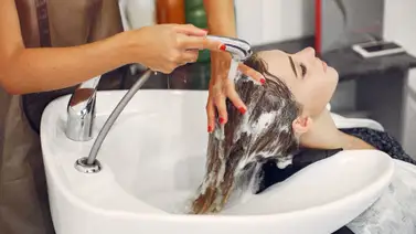 Con esta popular hierba aromática multiuso preparas un fabuloso champú casero: combate la caspa y la caída del cabello Con esta popular hierba aromática multiuso preparas un fabuloso champú casero: combate la caspa y la caída del cabello