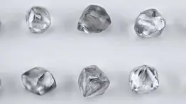 ¿Suerte o destino? La increíble historia de la mujer que encontró su diamante de bodas en un parque de Arkansas