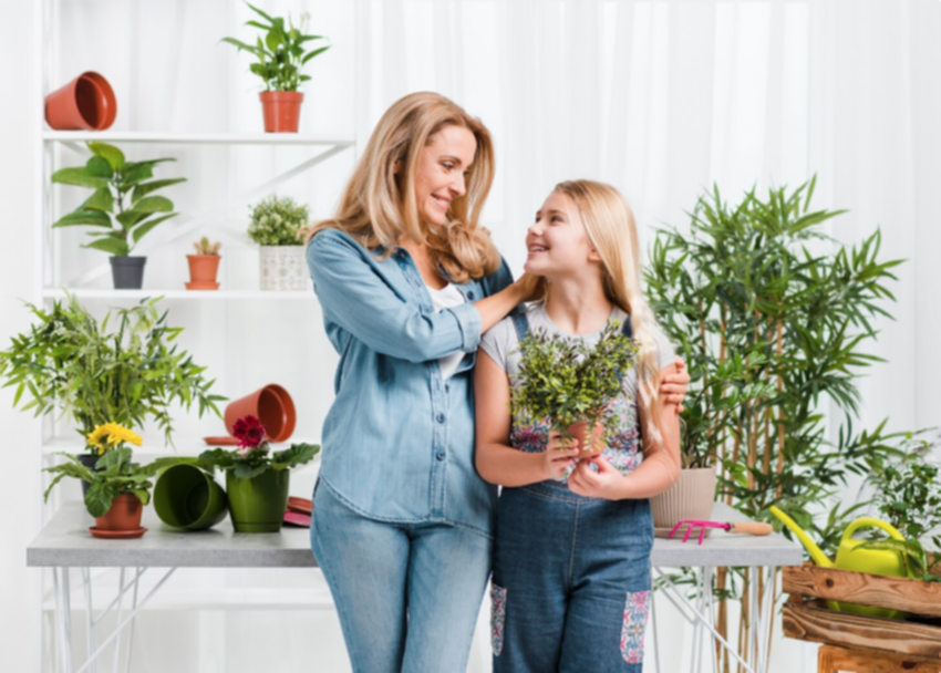 ¡No botes el agua de arroz! Tienes un tesoro en casa: descubre los milagros que puedes hacer con esta sustancia tan común al cocinar