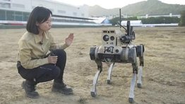 "Pueden asustar a sus enemigos": así funcionan los nuevos "lobos robot" del Ejército chino