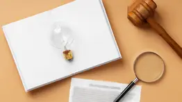 Fallo judicial menores inmigrantes