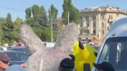 Pikachu, Labubu y un oso son detenidos: conozca la insólita razón