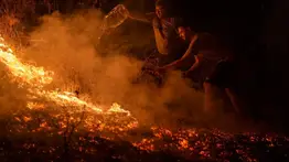 Incendios forestales en España y Portugal: conozca cuántas hectáreas de terreno se han consumido