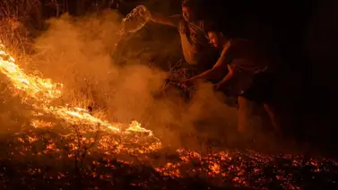 Incendios forestales en España y Portugal: conozca cuántas hectáreas de terreno se han consumido Incendios forestales en España y Portugal: conozca cuántas hectáreas de terreno se han consumido