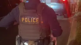 2001ONLINE - USA - ICE INMIGRANTE