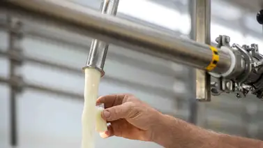 Leche cruda en Florida: ¿Cómo un vaso desencadenó muertes y hospitalizaciones? Leche cruda en Florida: ¿Cómo un vaso desencadenó muertes y hospitalizaciones?