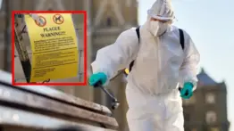 Peste bubónica reaparece en EE. UU.: pánico en este estado de la costa oeste que registra el primer caso