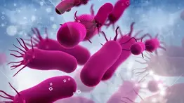 ¿Qué es la peste bubónica y cómo se contagia? Conoce la enfermedad que pone a California en alerta