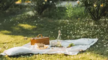 ¡Qué romántico! Este artista venezolano sorprende a su novia en Central Park ¡Qué romántico! Este artista venezolano sorprende a su novia en Central Park