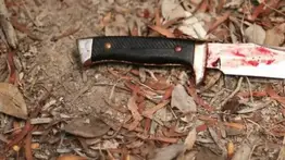 Arrestan a madre e hija por el cruel asesinato de una adolescente: fijan fianza millonaria para las agresoras