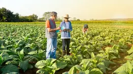 Trabajo en Michigan para migrantes: así puedes aplicar a la oferta de Bartley Farms con visa H-2A