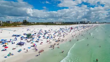 sarasota florida playa siesta beach sarasota florida playa siesta beach