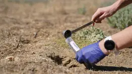 Alarma en California: la rara enfermedad vinculada al clima que preocupa a las autoridades