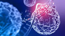 legionelosis nueva york