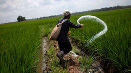PepsiCo impulsa en Venezuela su programa Agro con Propósito